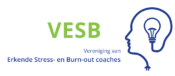 VESB Logo